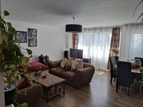 Appartement spacieux - JO 2024
